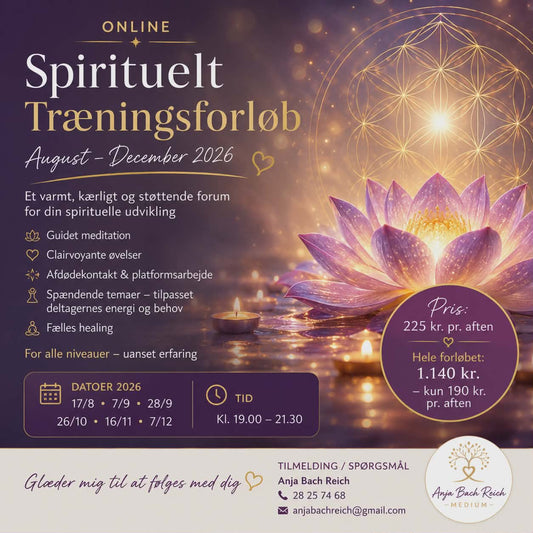 Online Spirituelt Træningsforløb